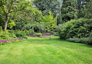 Optimiser l'expérience du jardin à Chatres