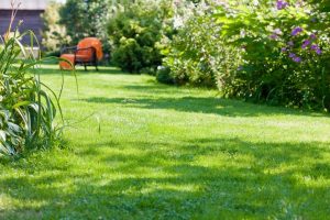 travaux jardin et paysage Chatres